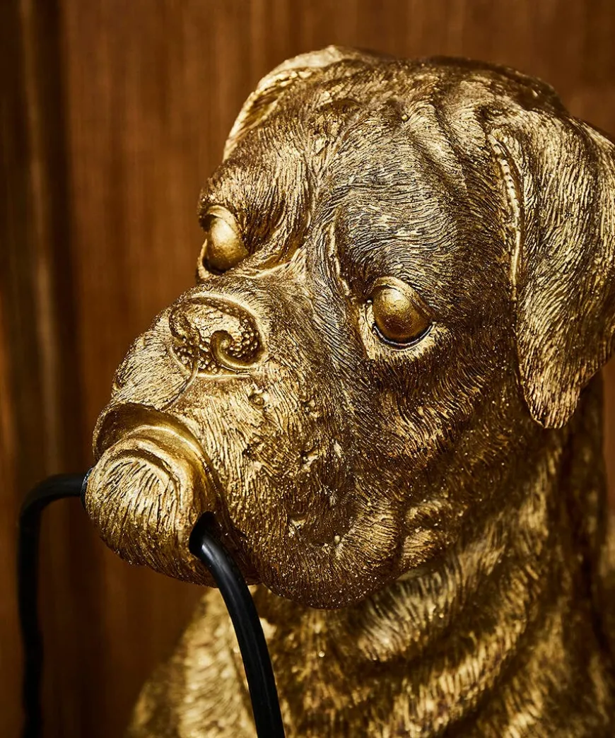 Brilliant Boxer Table Lamp