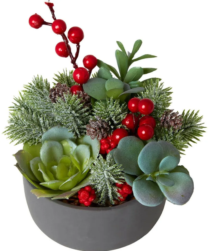 Tis The Season Succulent